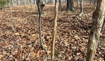 Farm Rd 1187 Lc, Ash Grove, MO 65604