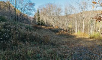 1361 Weaver Hollow Rd, Andes, NY 13731