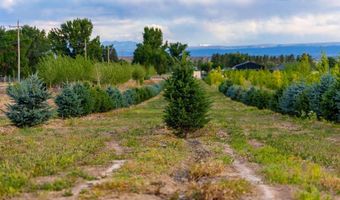 9001 2100 Rd, Austin, CO 81410