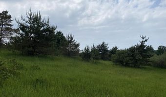 Parcel A Cemetery Road, Alden, MI 49612