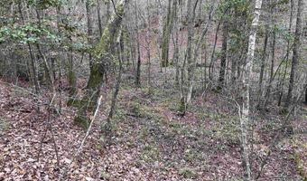 34655 Co Rd 49, Beaverton, AL 35544