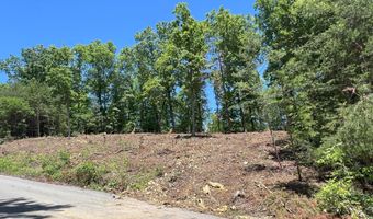 Lot 45 Bayside Boulevard, Bean Station, TN 37708