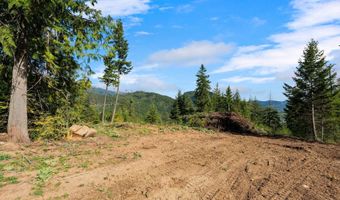 NKA Majestic Mountain Rd, Clark Fork, ID 83811