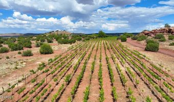 14 COUNTY ROAD 5309, Concho, AZ 85924