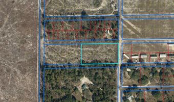 NE 121ST TERRACE, Archer, FL 32618