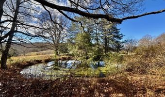 1520 Brittontown Rd, Afton, TN 37616