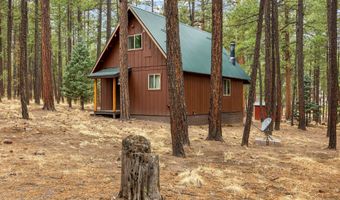 19 Hillcrest Dr, Alpine, AZ 85920
