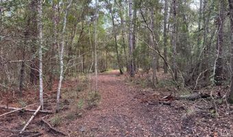 Lower Bay Road, Bay St. Louis, MS 39520