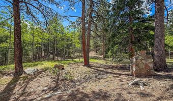412 Highway 7 Business, Allenspark, CO 80510