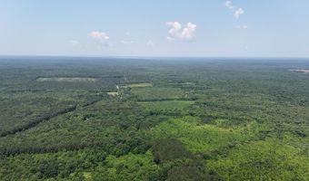 Cr 244, Abbeville, MS 38601