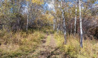 4800 Meadow Ln, Bozeman, MT 59715