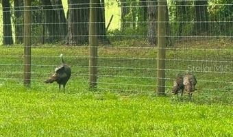 254 TH Ln Lot 19, Alachua, FL 32615