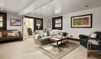 214 W Hyman Ave, Aspen, CO 81611