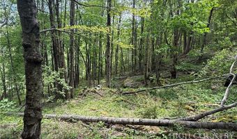 Spice Creek Road, Banner Elk, NC 28604