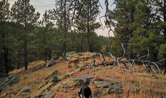 Lot 3 BBCR Road, Belle Fourche, SD 57717