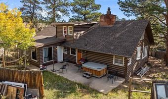 40 Ski Rd, Allenspark, CO 80510