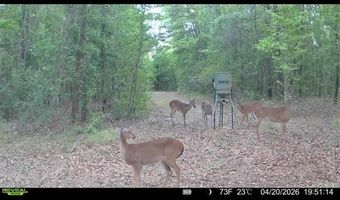 4814 NW 244 Ave, Alachua, FL 32615
