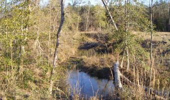 tbd 54.89 Acres N Hwy 53, Arkadelphia, AR 71923