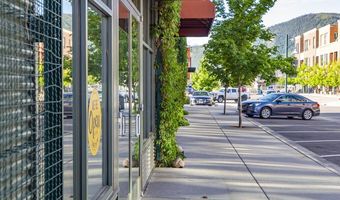 231 Robinson Street 330, Basalt, CO 81621