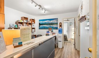 214 Midland Ave, Basalt, CO 81621