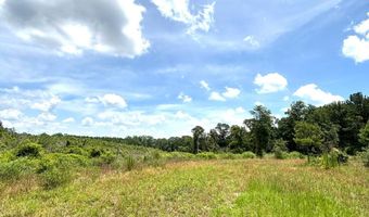 00 Ebenezer Church Rd, Bassfield, MS 39421