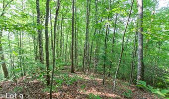 1200 Tobacco Branch Rd, Almond, NC 28702