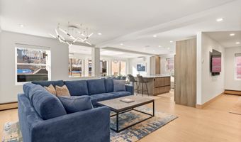 447 E Cooper Ave 1, Aspen, CO 81611