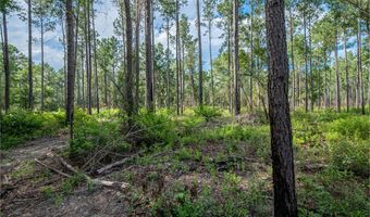 221 Ac Crestview Rd, Arlington, GA 39813