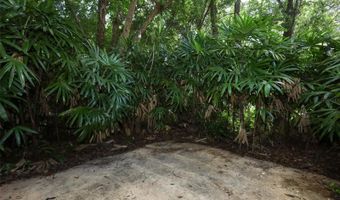 500 ALTALOMA Ave, Orlando, FL 32803