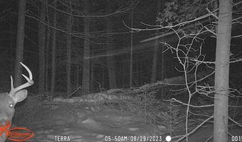 4200 Bloom Rd, Alpena, MI 49707