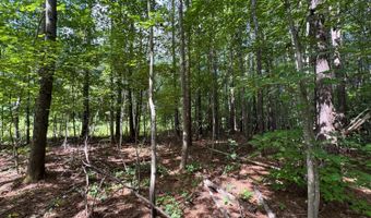 0 Holiday Lake Rd, Appomattox, VA 24522