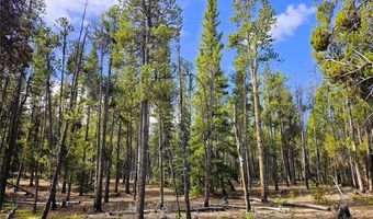 PCS # 7765 & 12057 Rollies Trail lot 0, Alma, CO 80420