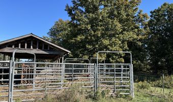 County Road 113, Alton, MO 65606