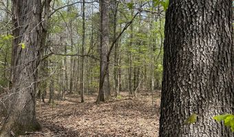 000 Fowler Rd, Beech Bluff, TN 38313
