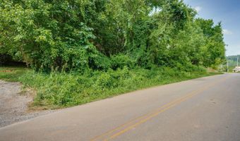 Lots 15-16 Babbs Mill Road, Afton, TN 37616