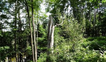 S Forest Lake, Alger, MI 48610