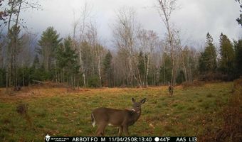 22 Monument Rd, Abbot, ME 04406
