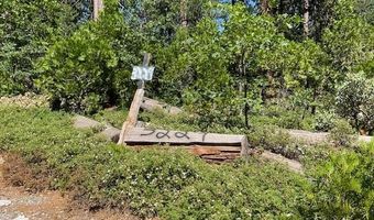 3229 Ponderosa Rd, Arnold, CA 95223