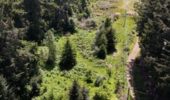 20452 Whaleshead Rd, Brookings, OR 97415