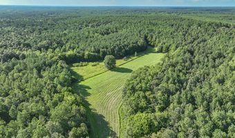 0 Hwy 14, Aliceville, AL 35442
