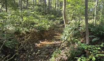 HURT HOLLOW RD, Banco, VA 22711