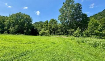 179 Cow Ln, Arnoldsburg, WV 25234