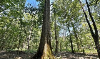 1 Champion Hill Rd, Bolton, MS 39041