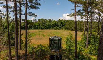 8830 County Road 57, Abbeville, AL 36310