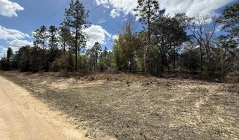 101 St Ct, Archer, FL 32618