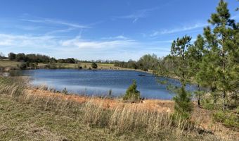 00 County Road 137, Abbeville, AL 36310