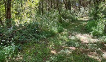 Lot 8 Grandview Dr, Forest Hill, WV 24935