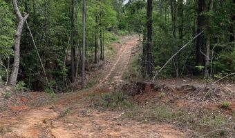 40 Acres Forestry Road 356, Beaumont, MS 39423
