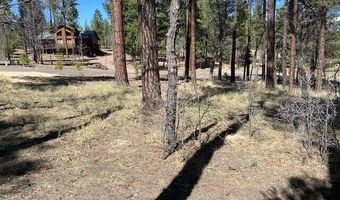 000 COUNTY ROAD 2191 LOT 46, Alpine, AZ 85920