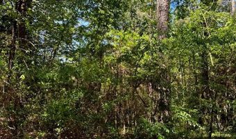 FOLLY CREEK CLUB LN lot 19, Accomac, VA 23301